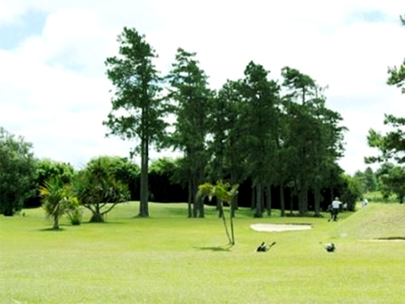 Le Dodo Golf Club : Un Parcours d’Exception